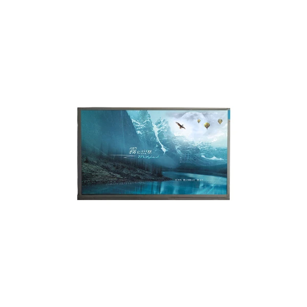 BT101IW02 v. 0 10. 1 tommer 1024*600 LVDS LCD Display Module