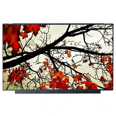 NS160WU0-M60 LCD-panel 16,0 tommer 1920*1200 LCD-skærm